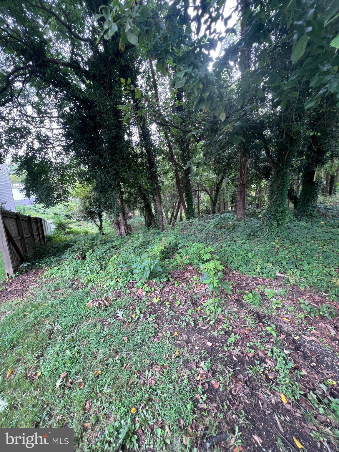 1407 PINE GROVE ROAD
