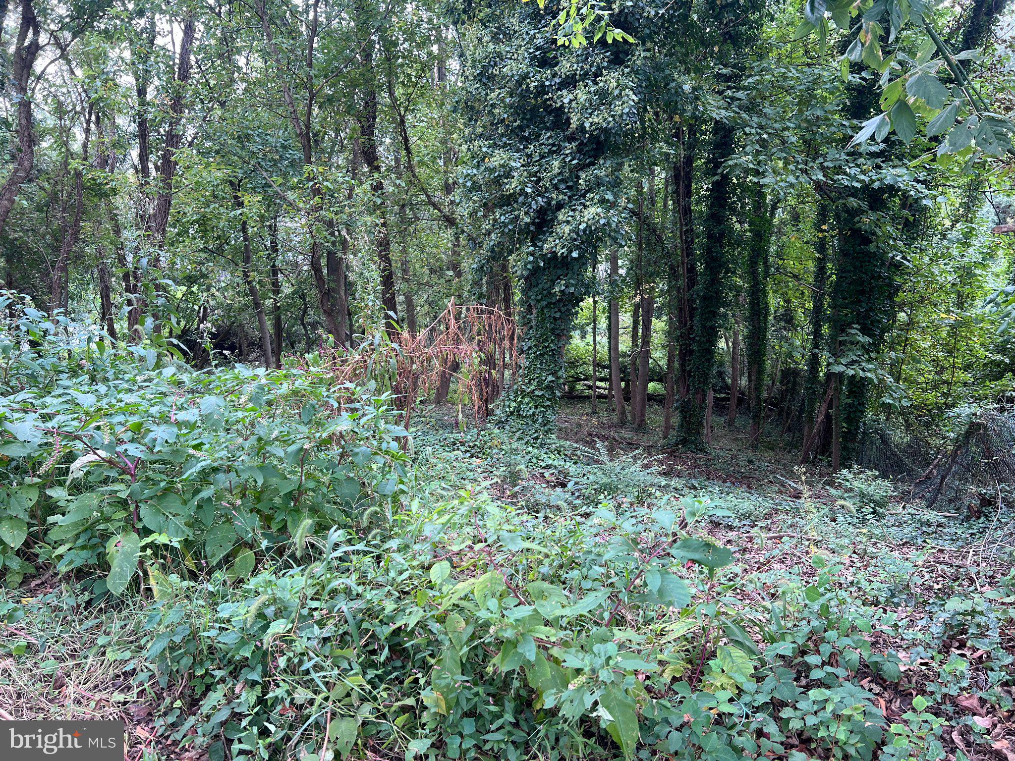 1407 PINE GROVE ROAD