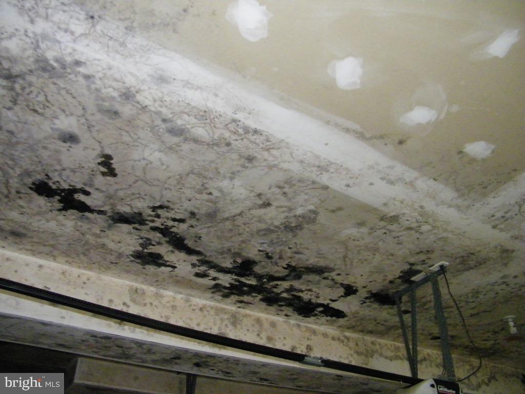 SPRINGWOOD - Residential