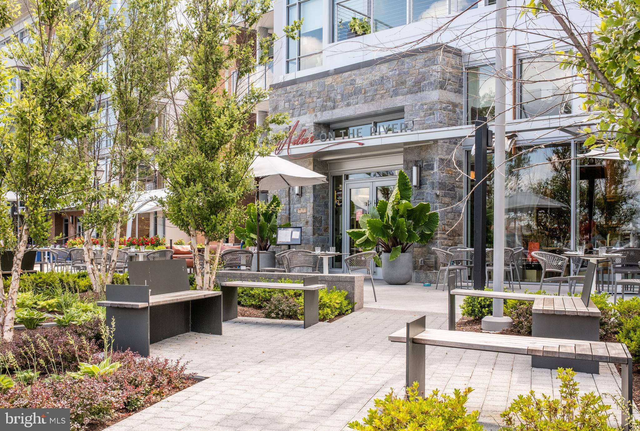 CHATHAM SQUARE - Residential