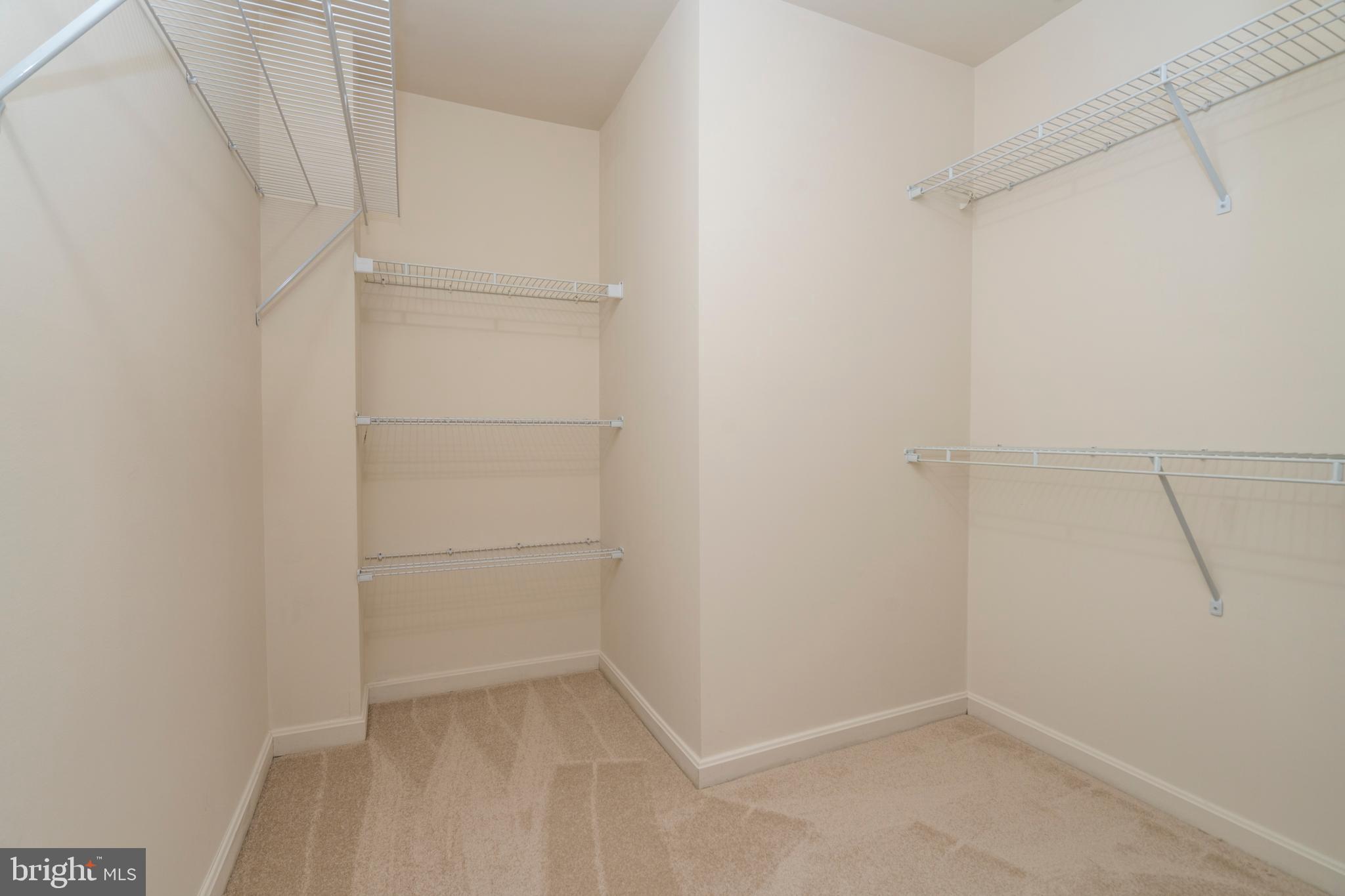 GOUCHER WOODS - Residential