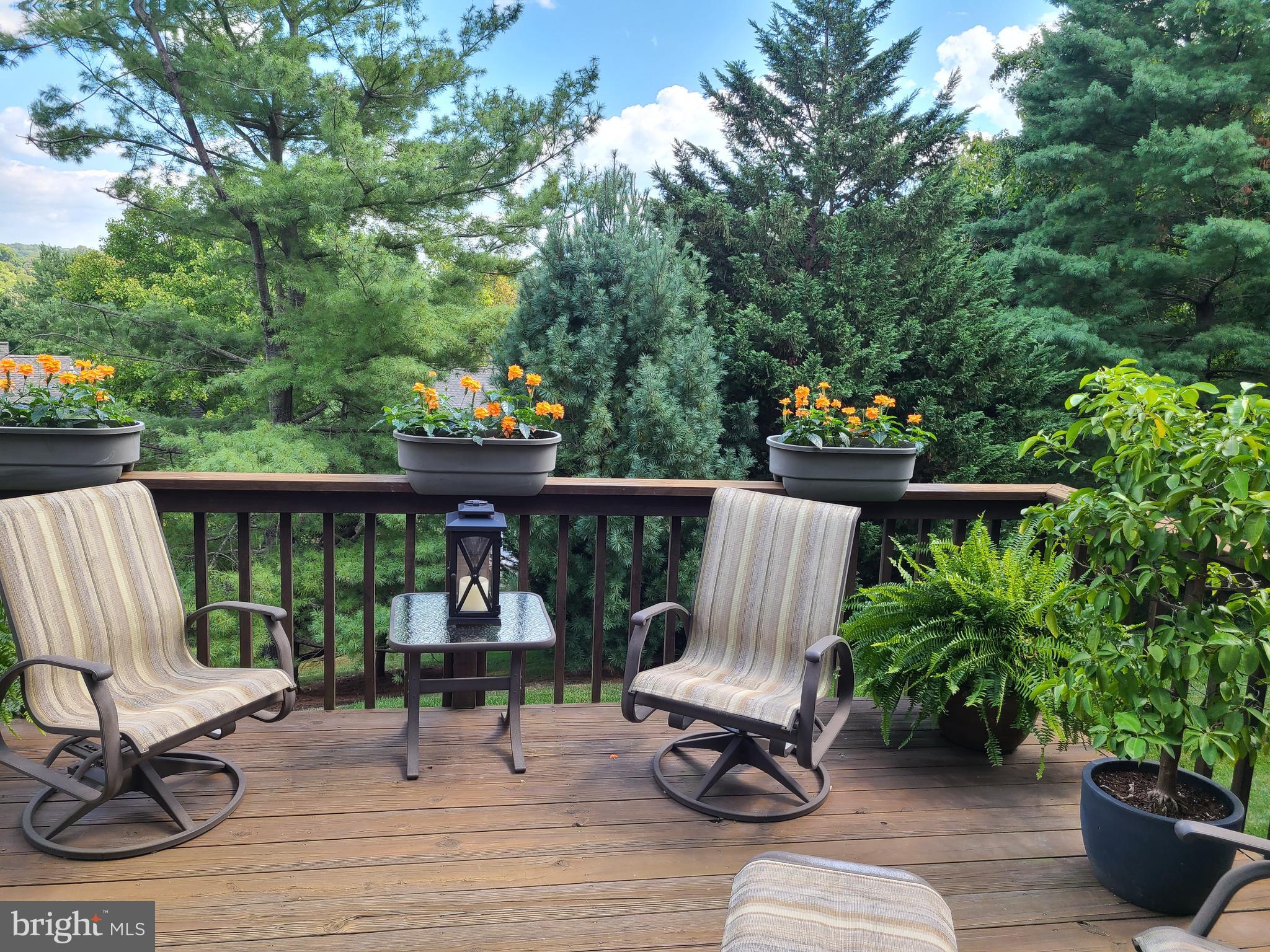 GOUCHER WOODS - Residential