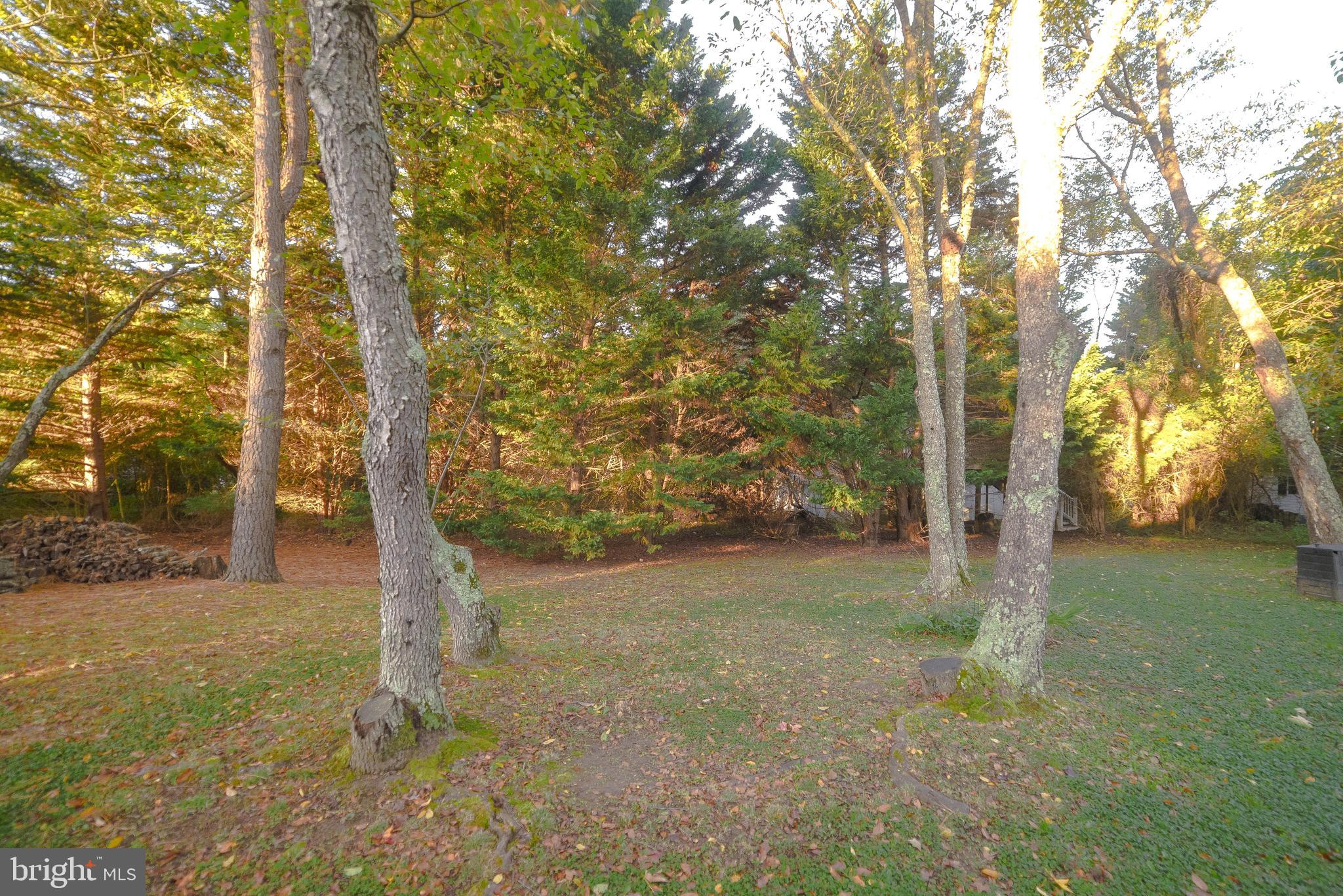 WICOMICO SHORES - Residential