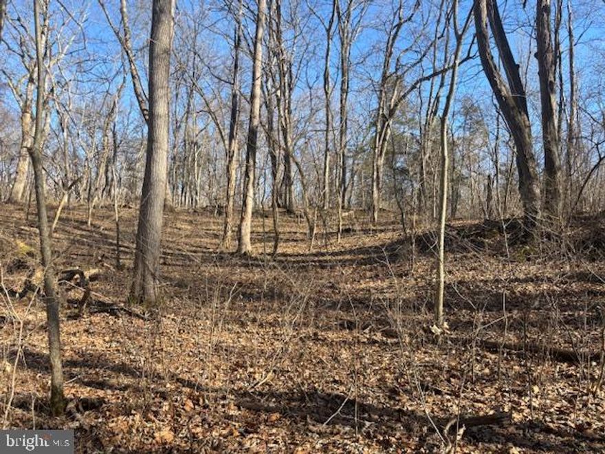 IF YOU ARE DREAMING OF A HOME ON A BEAUTIFUL WOODED LOT WITH ACCESS TO THE POTOMAC RIVER....THIS IS IT! OVER 3 ACRE BUILDING LOT IN A NEIGHBORHOOD OF BEAUTIFUL HOMES, ALL ON LARGE LOTS AND NESTLED IN THE WOODS! THIS IS A PRIVATE COMMUNITY OUTSIDE OF HISTORIC SHARPSBURG AND THIS IS ONE OF THE FEW LOTS AVAILBLE TO BUILD ON. PLEASE REVIEW THE INFO IN DOCUMENTS FOR ALL THE DETAILS....AND MAKE IT YOUR OWN!!