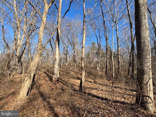 POTOMAC VALLEY FARMS - Land