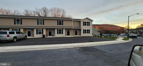 52 PETERSBURG LANE DUNCANNON PA 17020