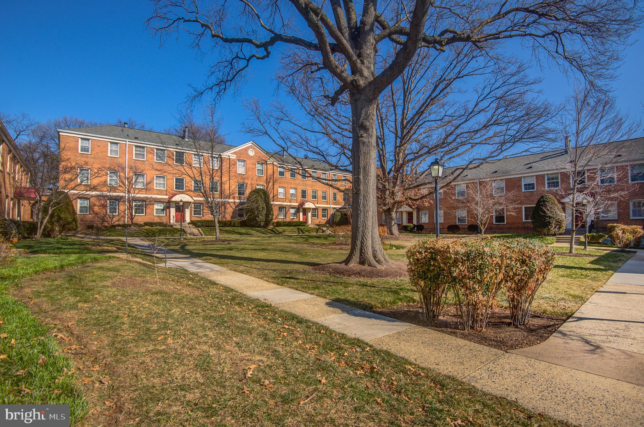 2509 ARLINGTON BOULEVARD 301