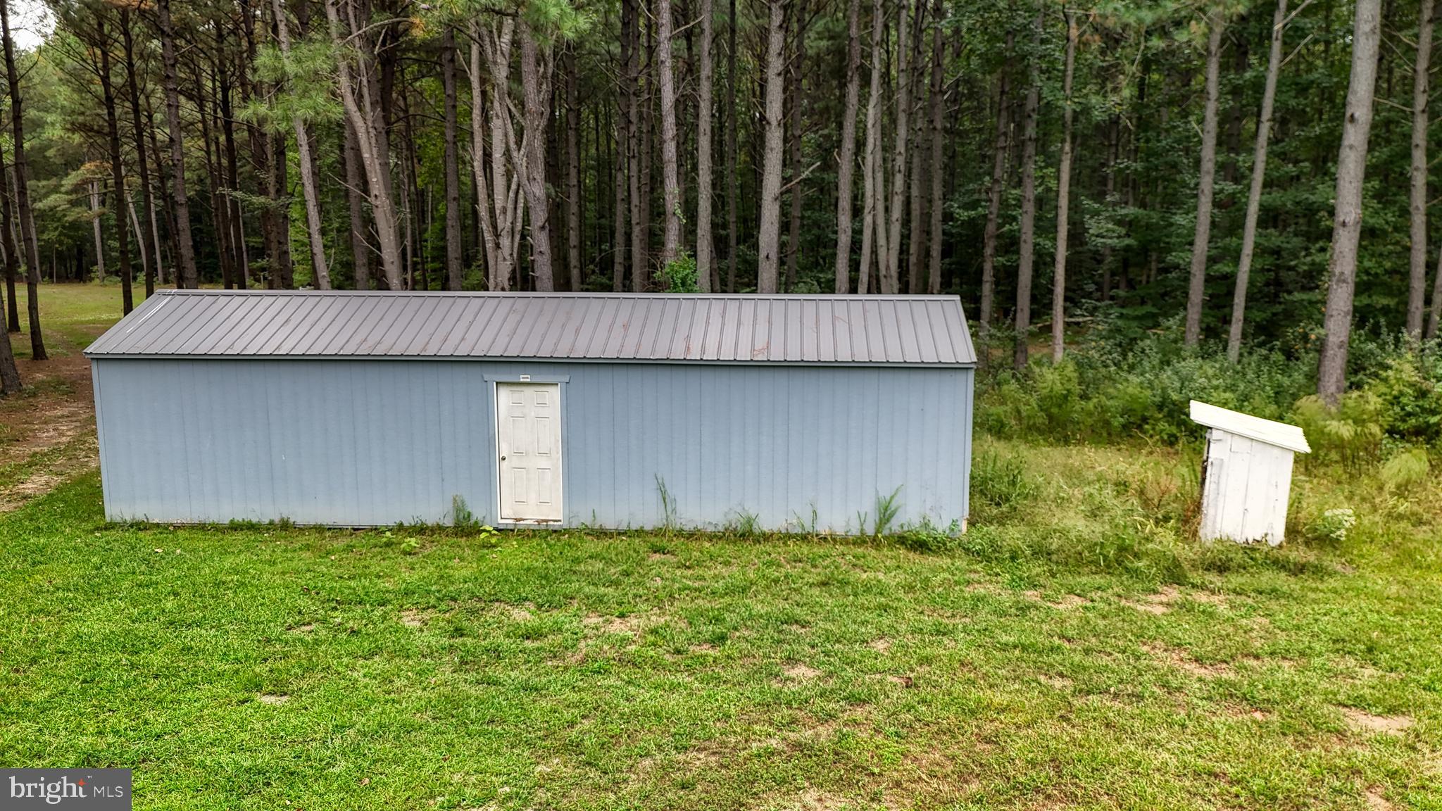 29028 BLACK PEPPER LANE