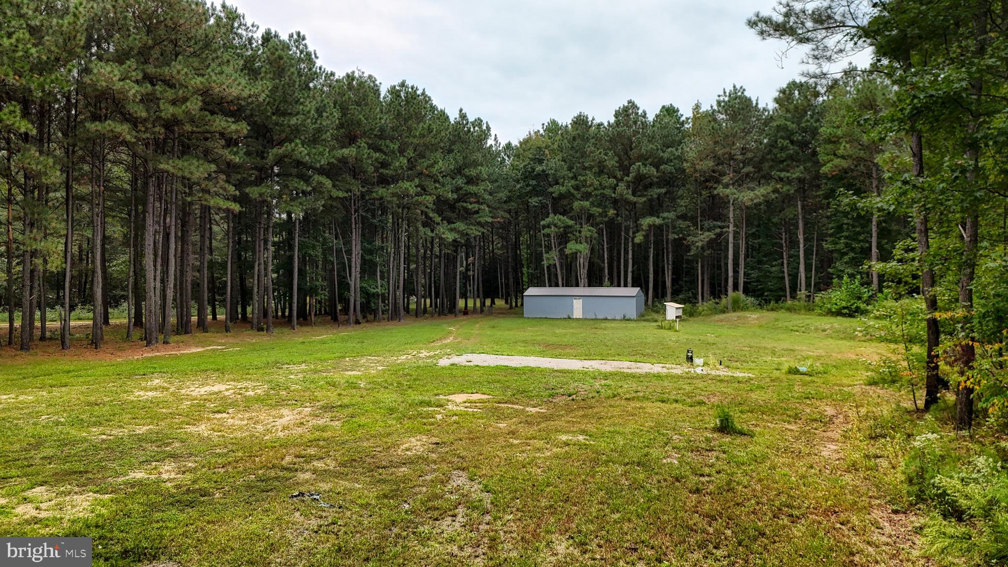 29028 BLACK PEPPER LANE