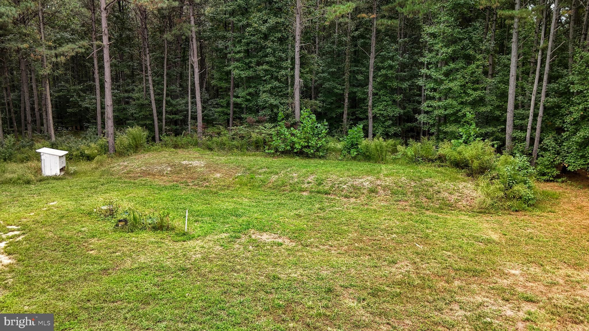 29028 BLACK PEPPER LANE