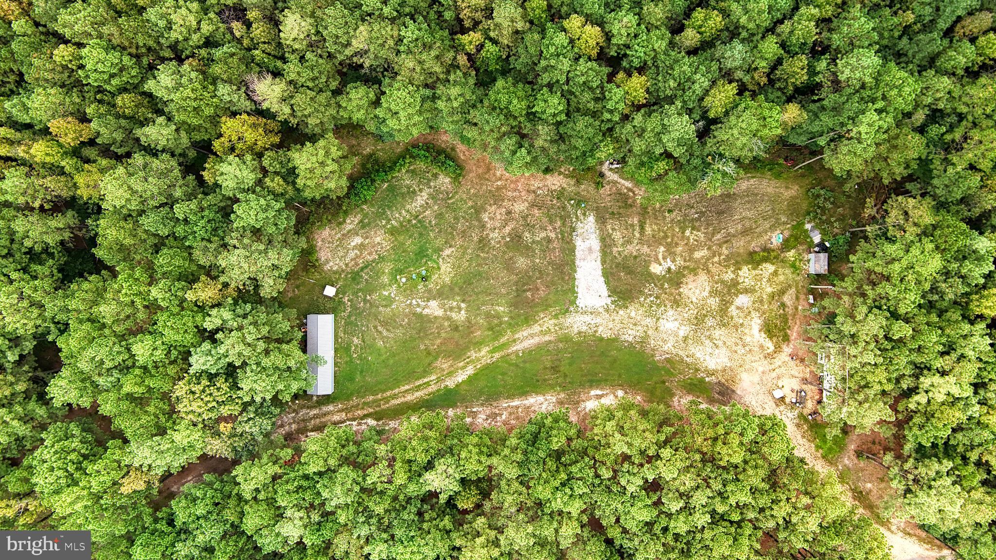 29028 BLACK PEPPER LANE