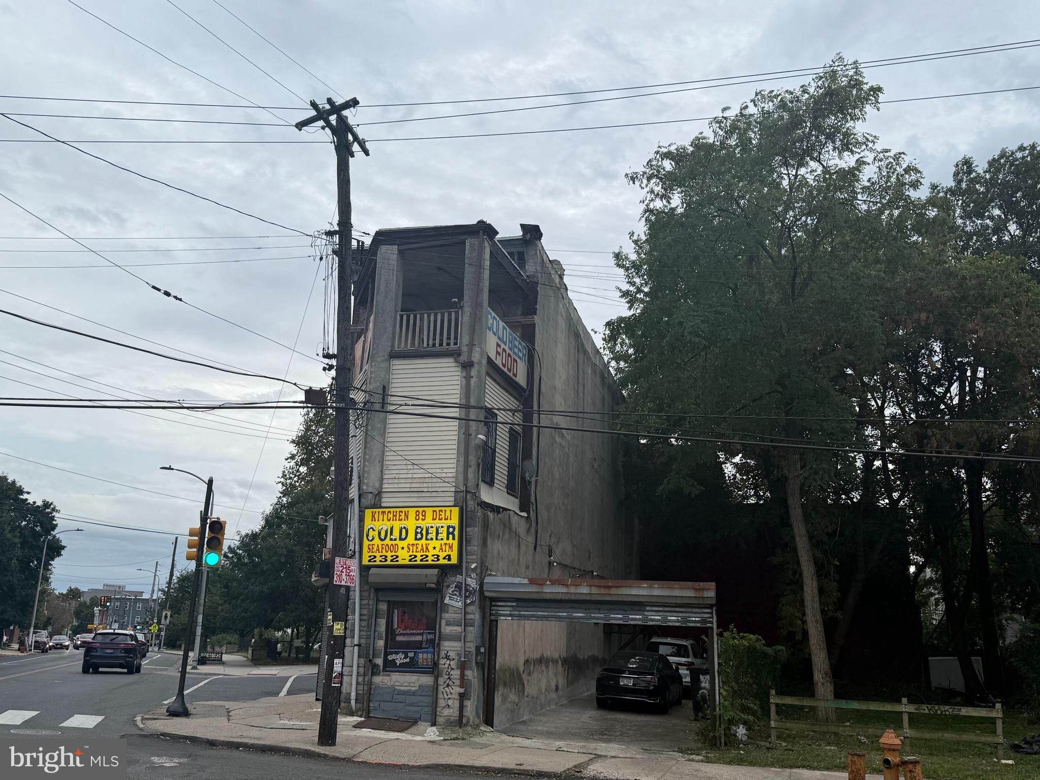 STRAWBERRY MANSION - Land