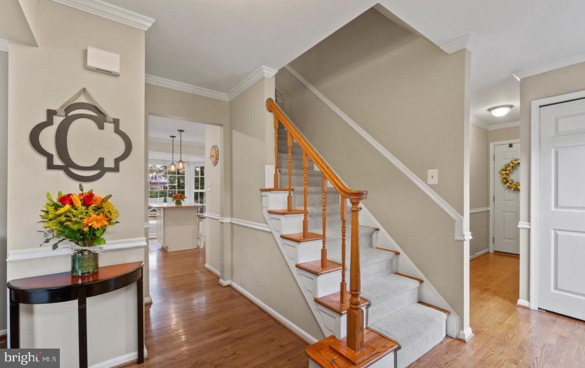 9751 IRONMASTER DRIVE