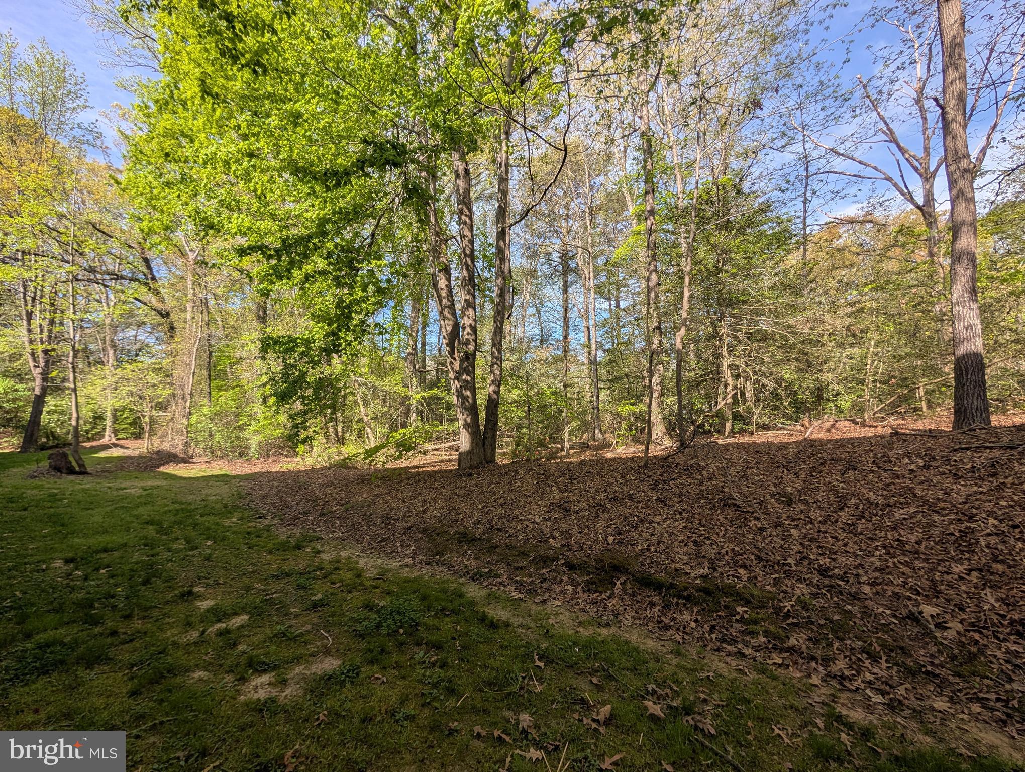 WILDEWOOD - Residential