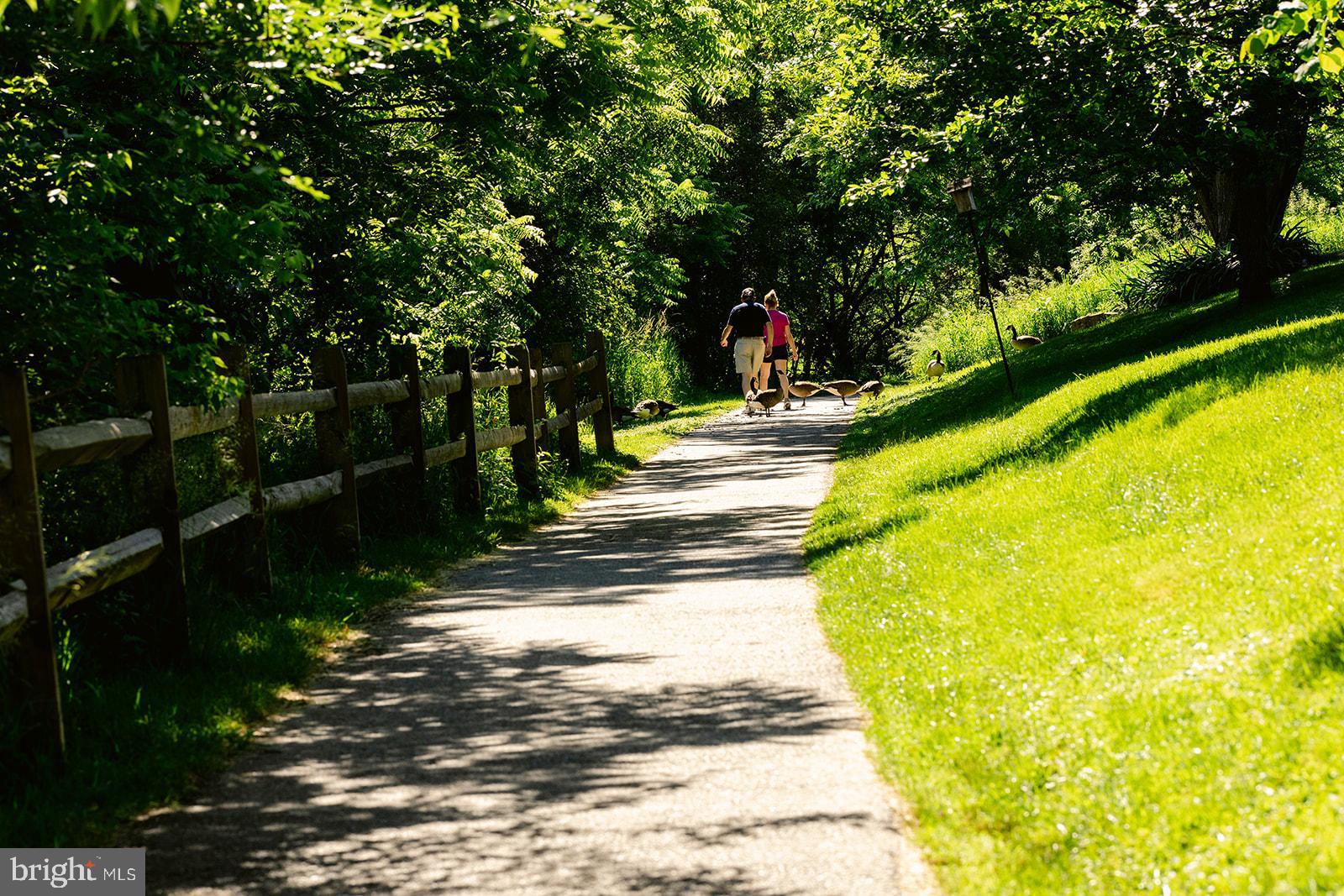 VILLAGE OF RIVER HILL - Residential