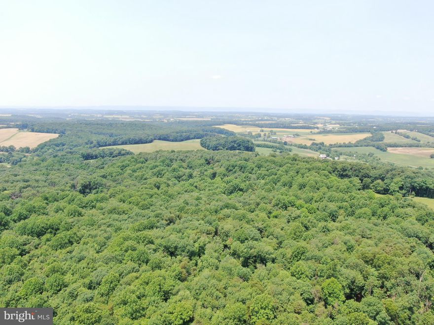 OUTSTANDING WOODED PROPERTY IN FREDERICK COUNTY, MD! This remarkable property has been held by the same family for generations and offers a rare opportunity to own a truly special piece of land. Featuring mature timber, picturesque views, abundant wildlife, and small streams, it’s a nature lover’s paradise. Whether you're looking to build your dream home or simply enjoy a peaceful retreat, this property is the perfect setting. Conveniently located just minutes from Liberty Road and only a few miles from I-70—don't miss your chance to make it yours!

This property will be offered at the same time as 13± acres on Buffalo Rd, just a half mile from this property. Buyers may come and buy one parcel or both!

This property will be offered at auction on Wednesday, July 30, 2025 @ 3:00pm. The List price in no way represents a minimum, starting, or acceptable bid.