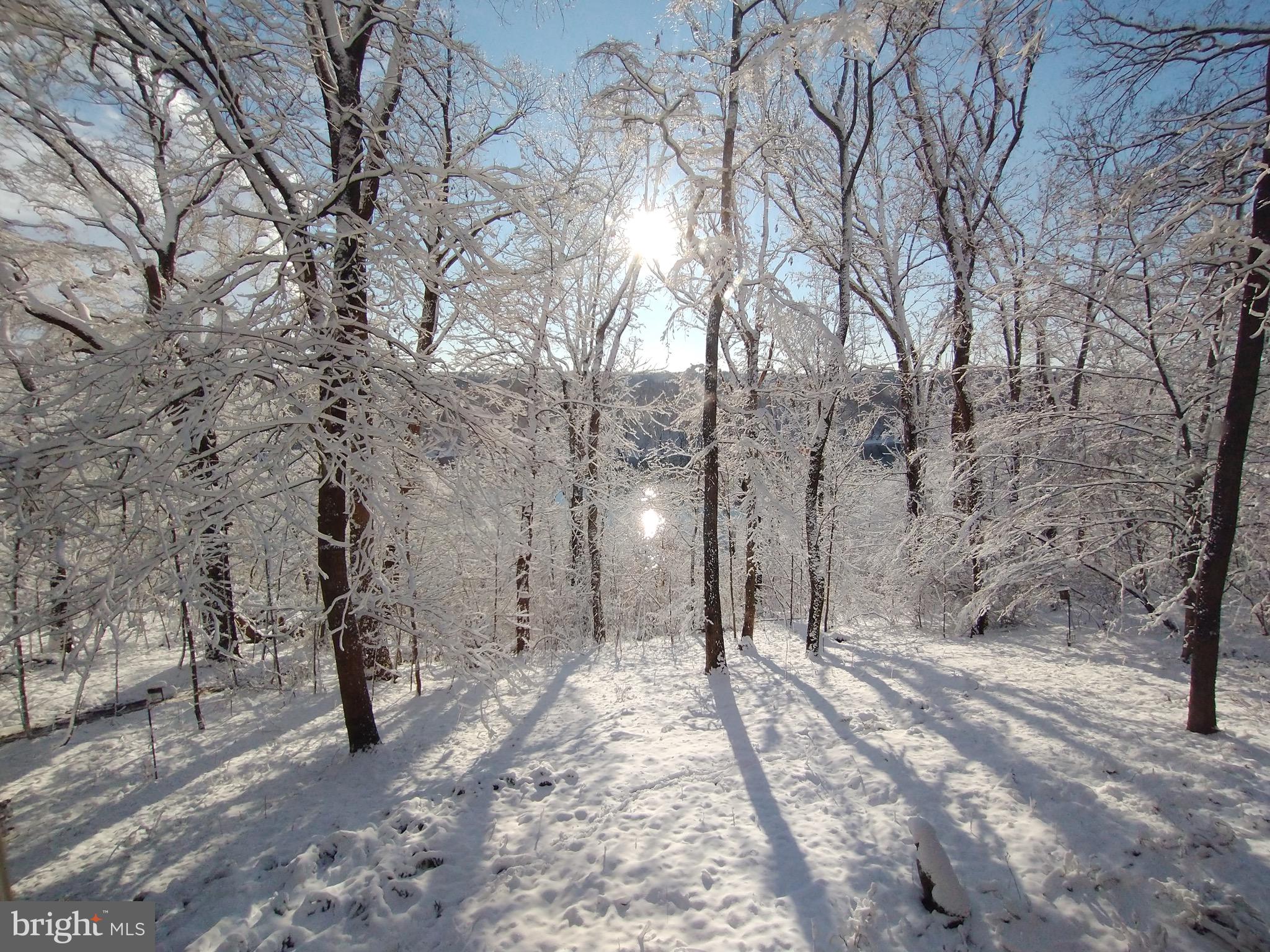 MERRY GO ROUND FARM - Residential