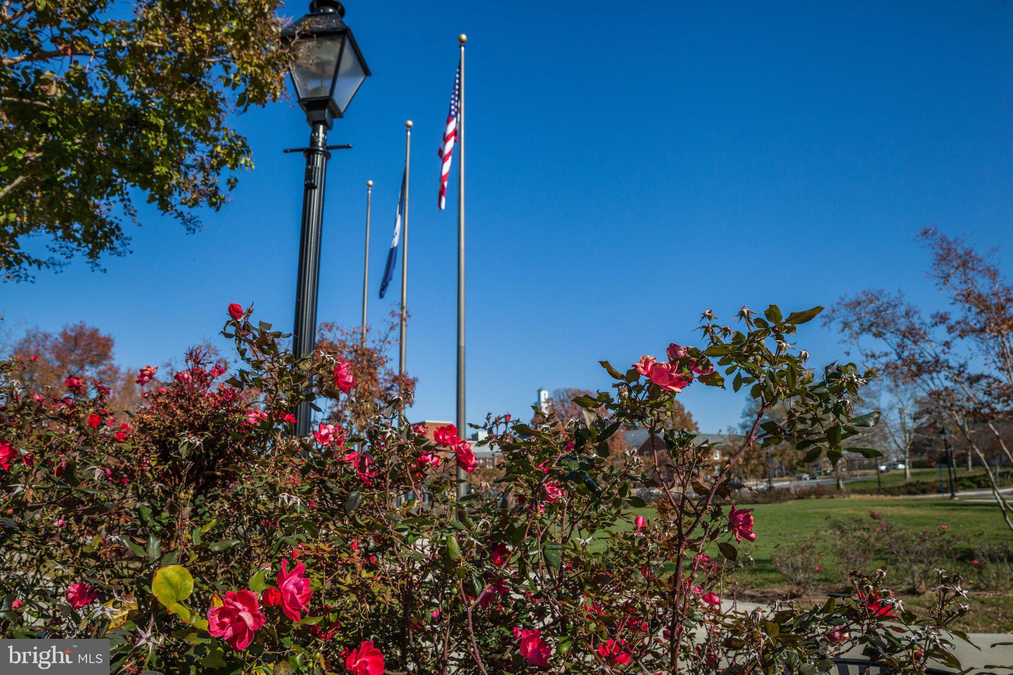 COUNTRY CLUB HILLS - Residential