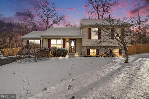 167 QUAIL DRIVE DILLSBURG PA 17019