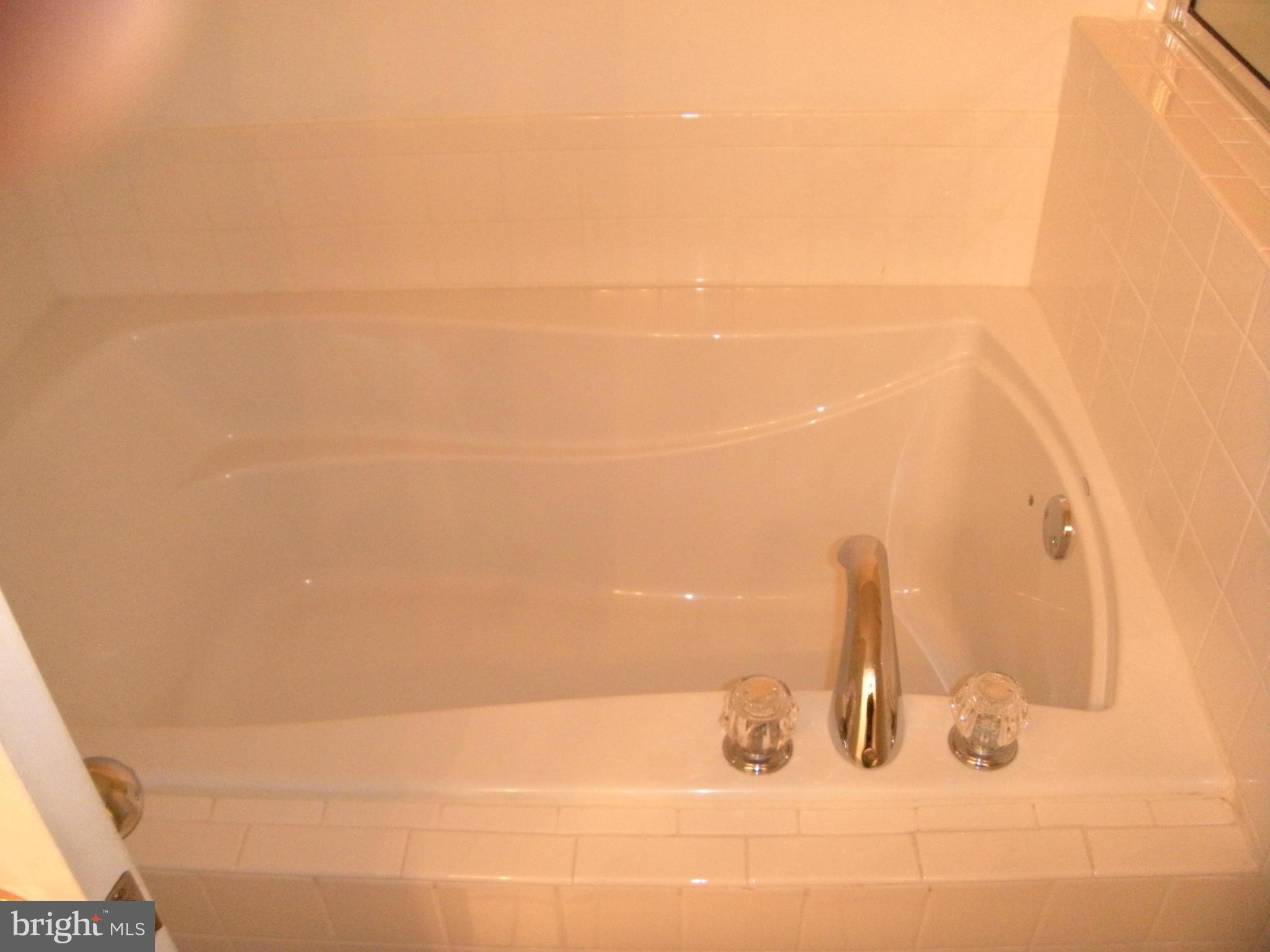 MANORS AT MCNAIR FARMS - Residential Lease