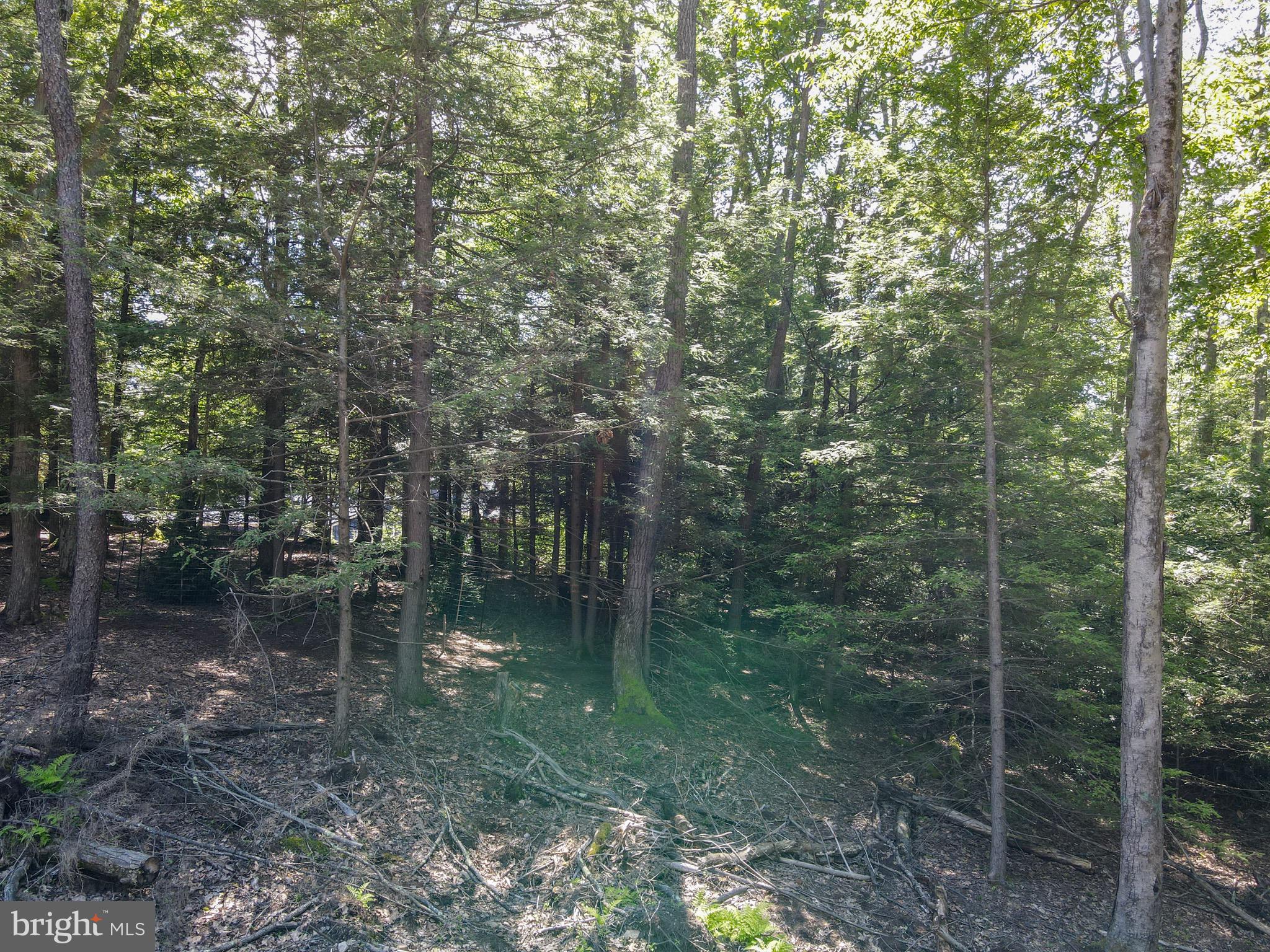Lots 55-57 SCENIC DRIVE