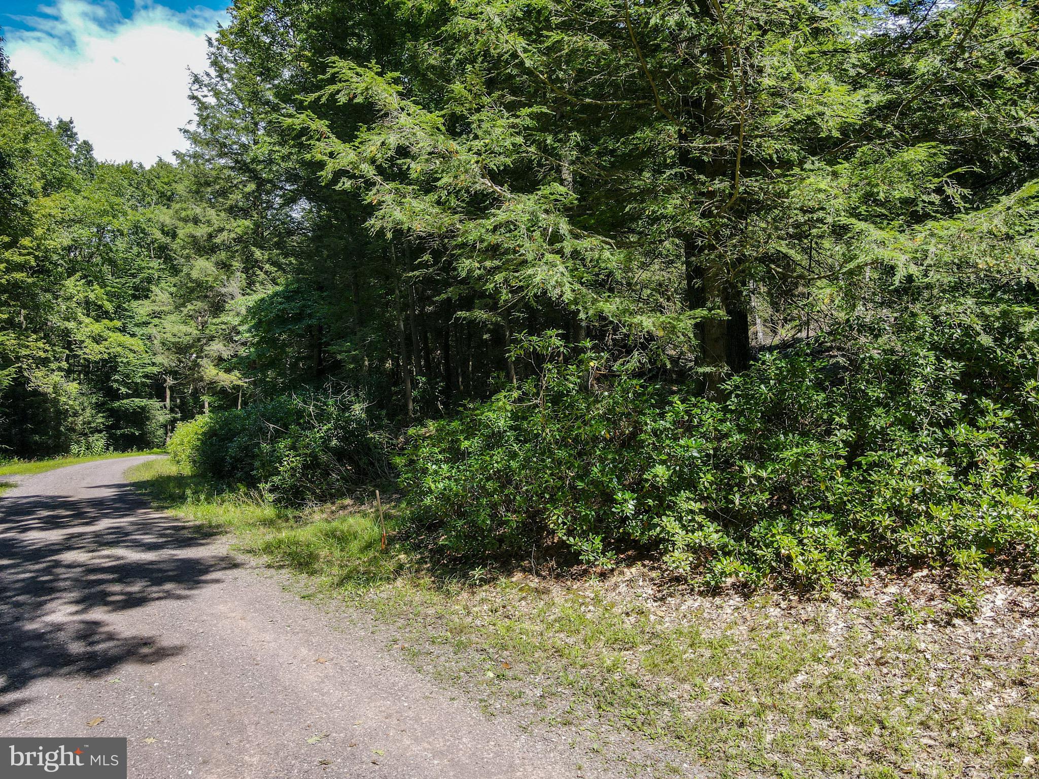 Lots 55-57 SCENIC DRIVE
