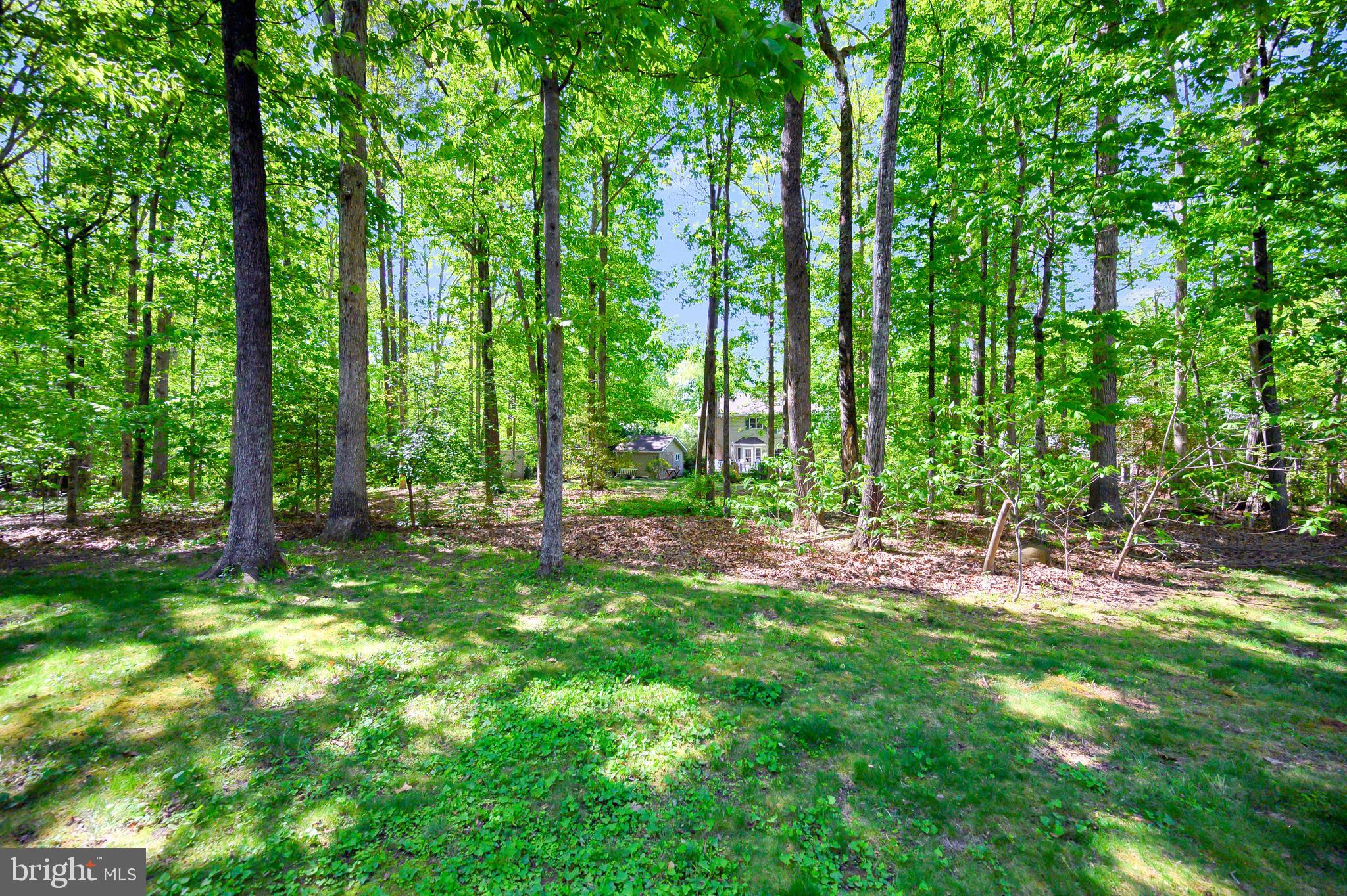 LAKE OF THE WOODS - Residential