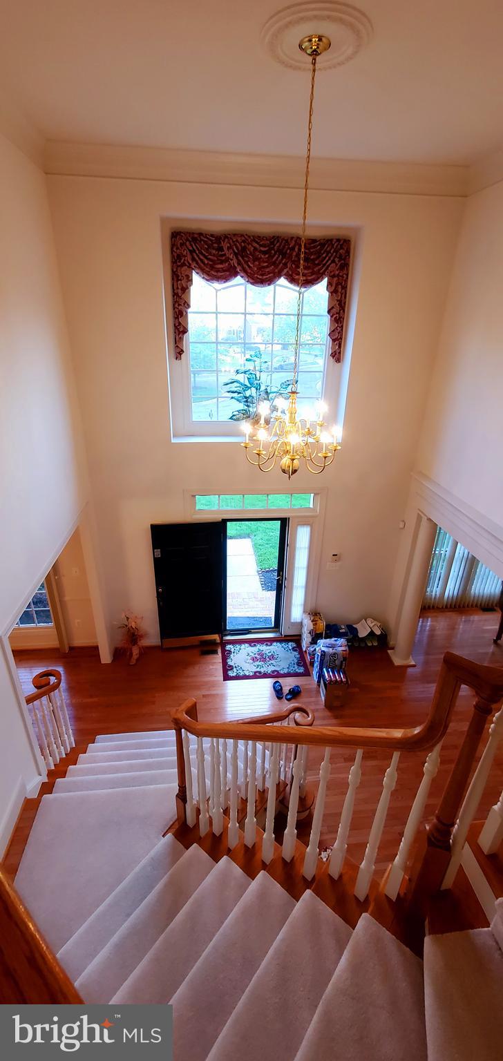 NORTH POTOMAC - Residential