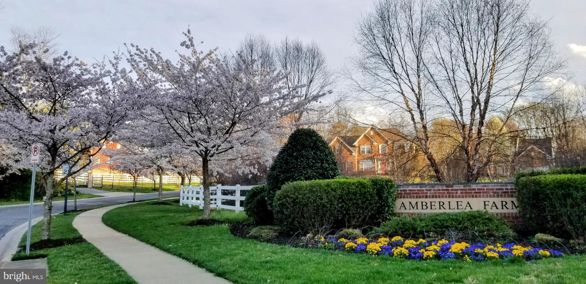 NORTH POTOMAC - Residential