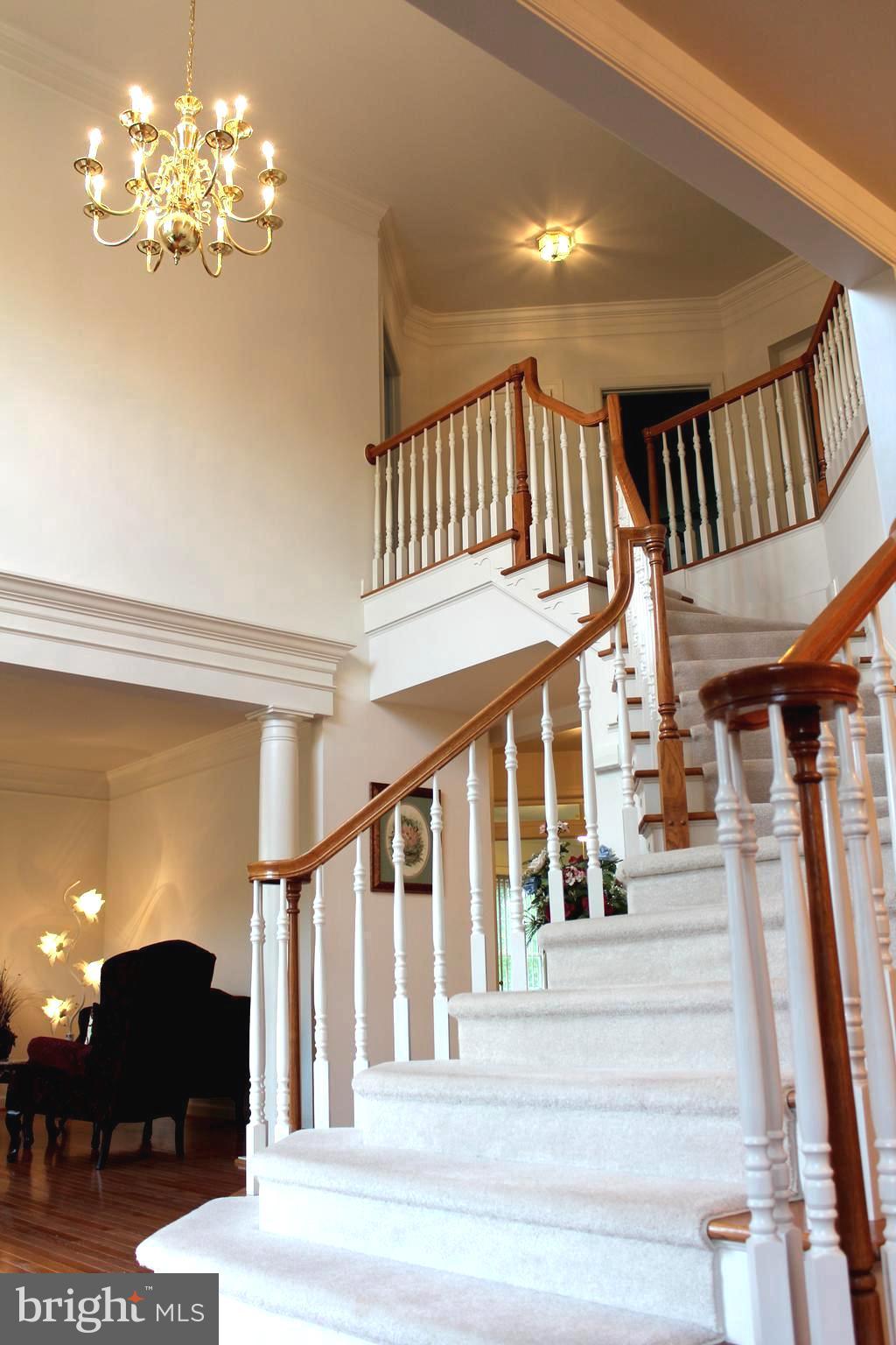 NORTH POTOMAC - Residential