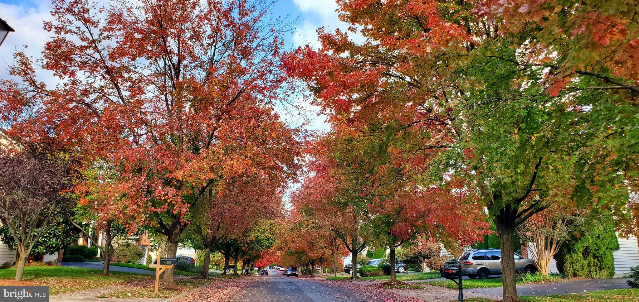 NORTH POTOMAC - Residential
