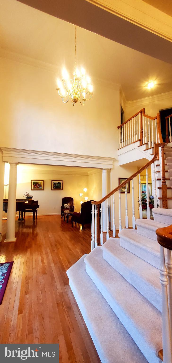 NORTH POTOMAC - Residential