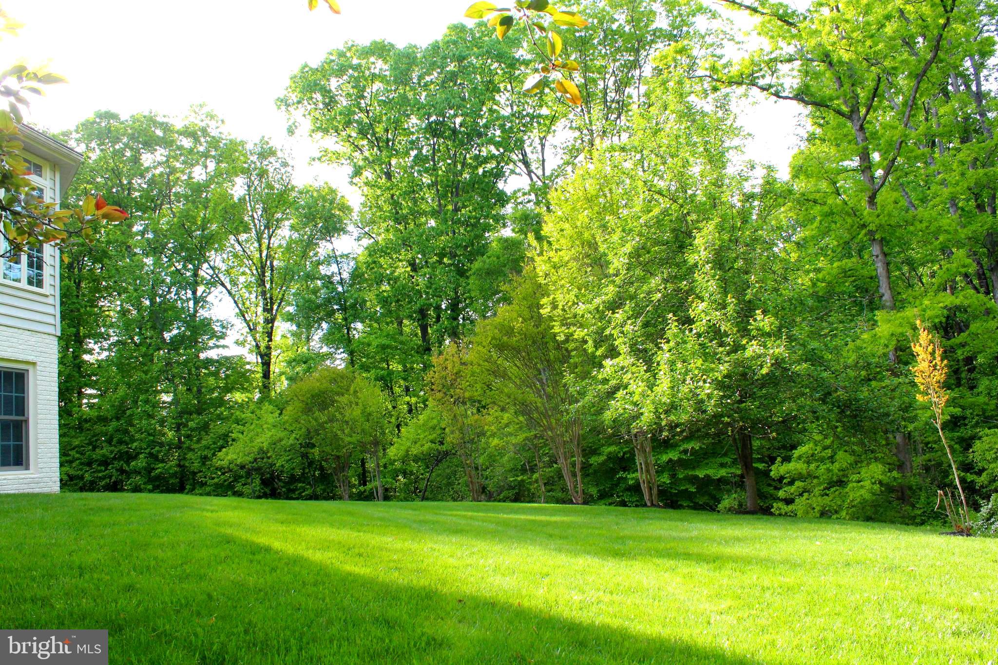 NORTH POTOMAC - Residential