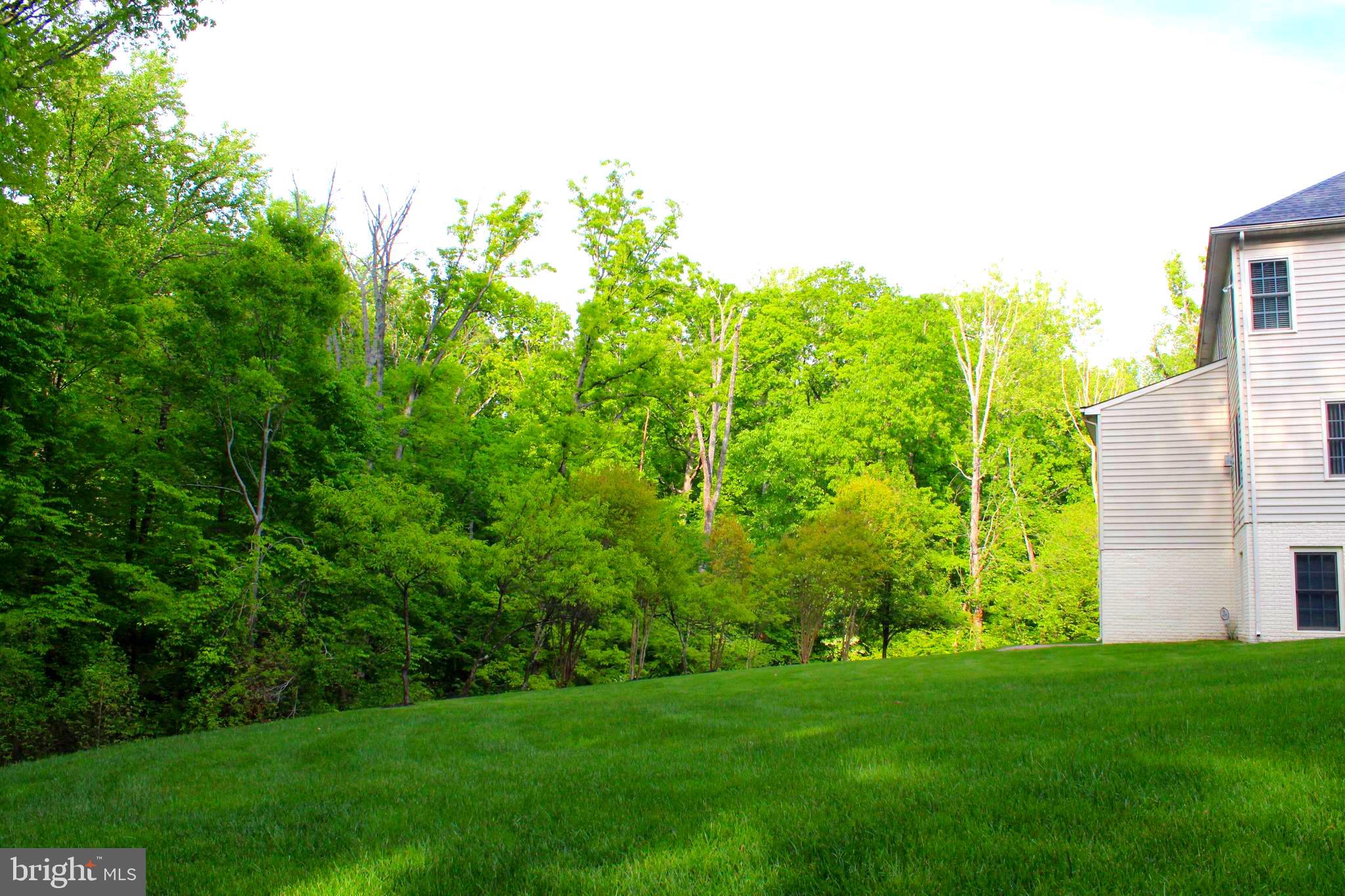 NORTH POTOMAC - Residential