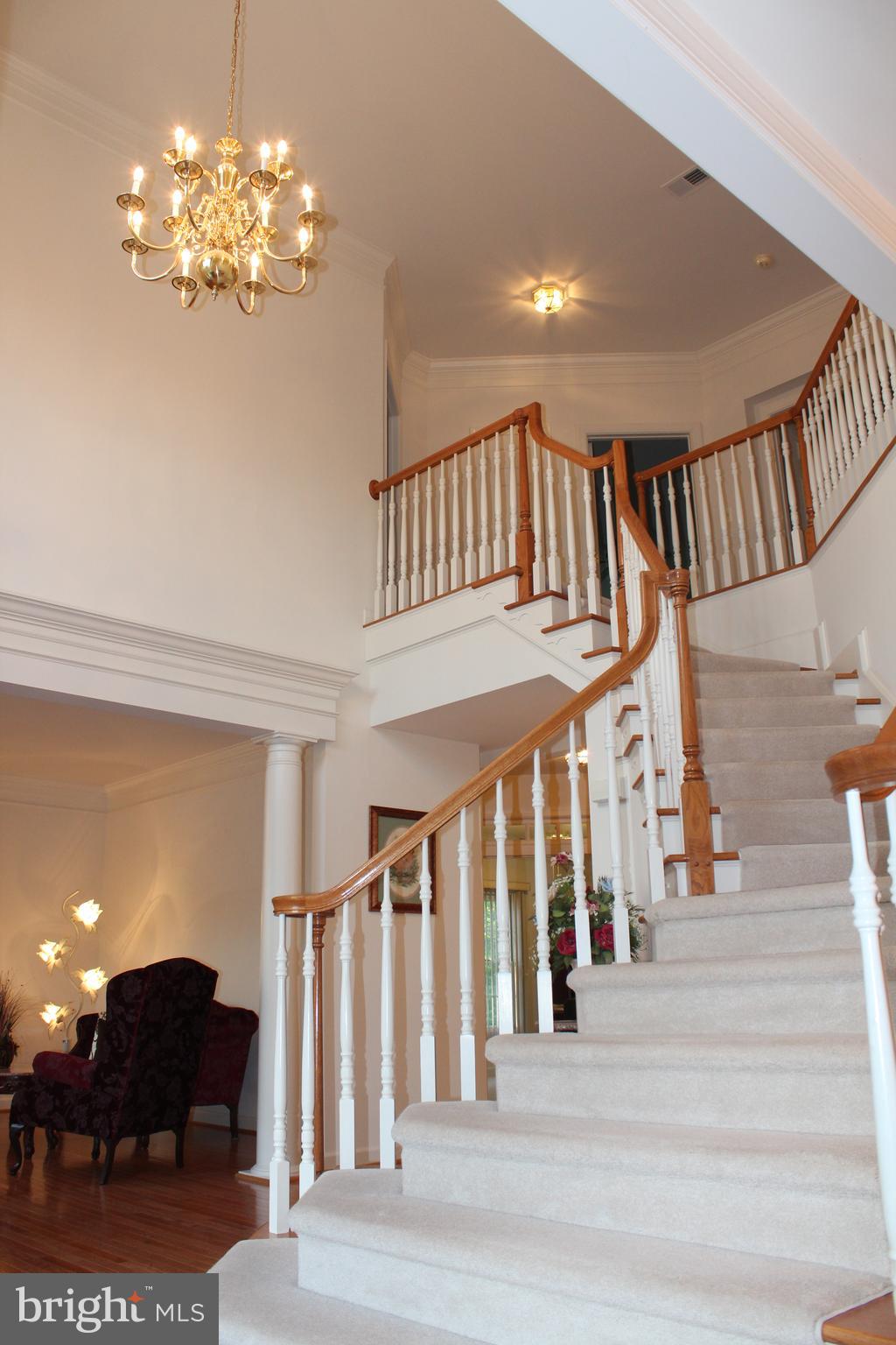 NORTH POTOMAC - Residential