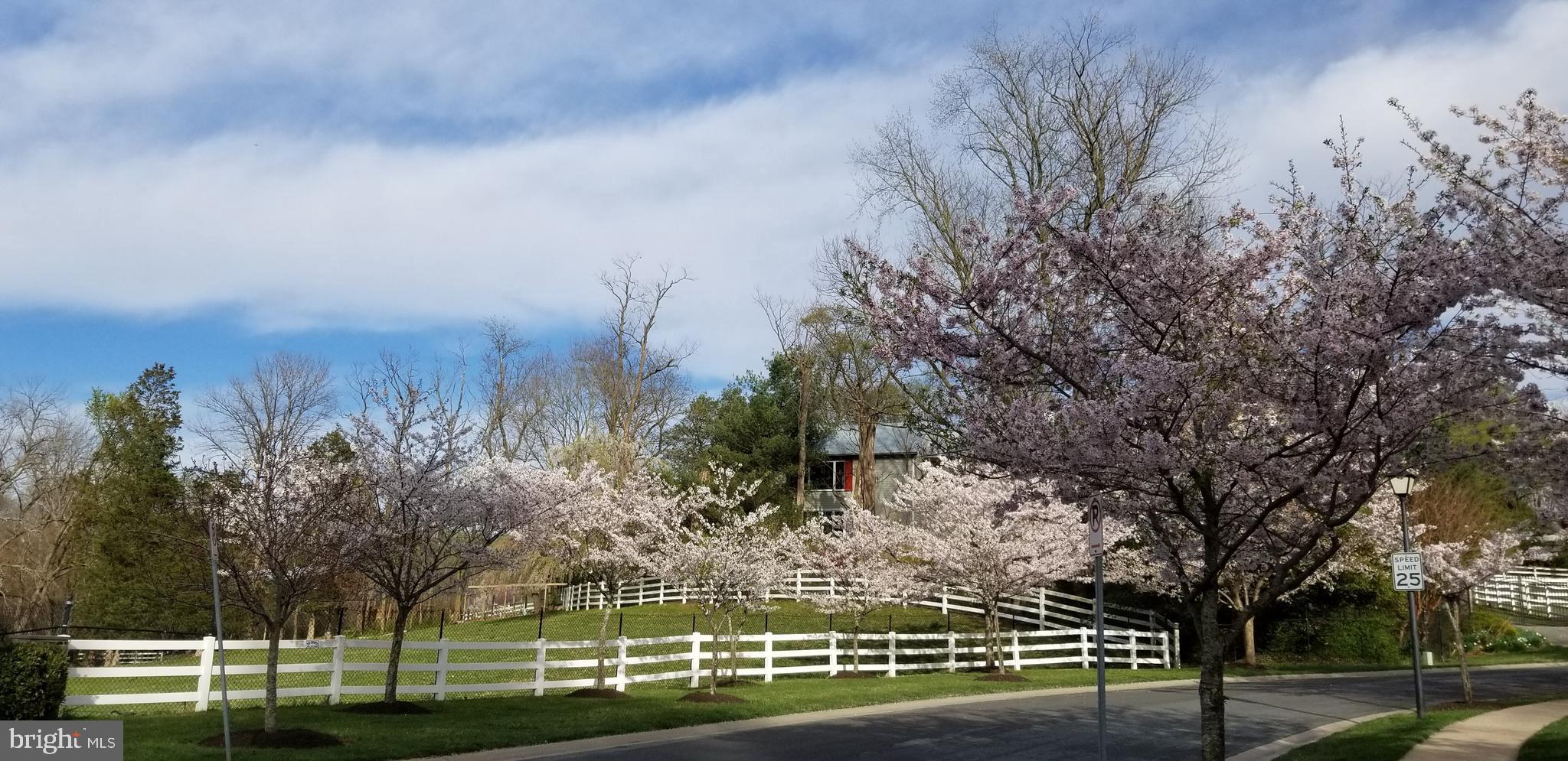 NORTH POTOMAC - Residential