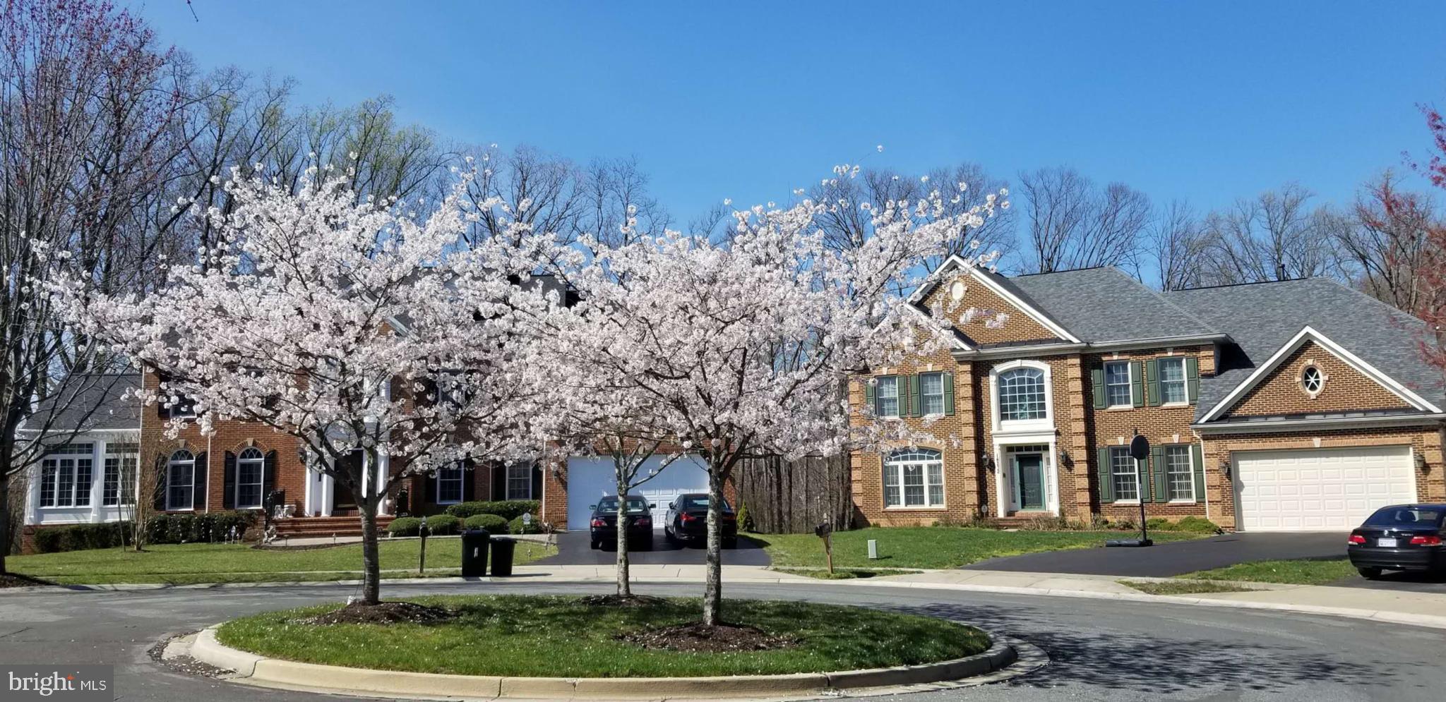 NORTH POTOMAC - Residential