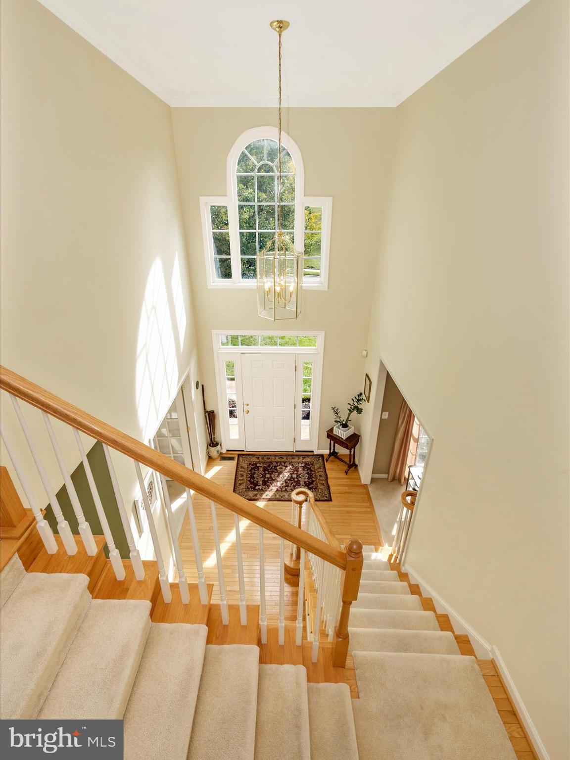 NORTH POINTE - Residential