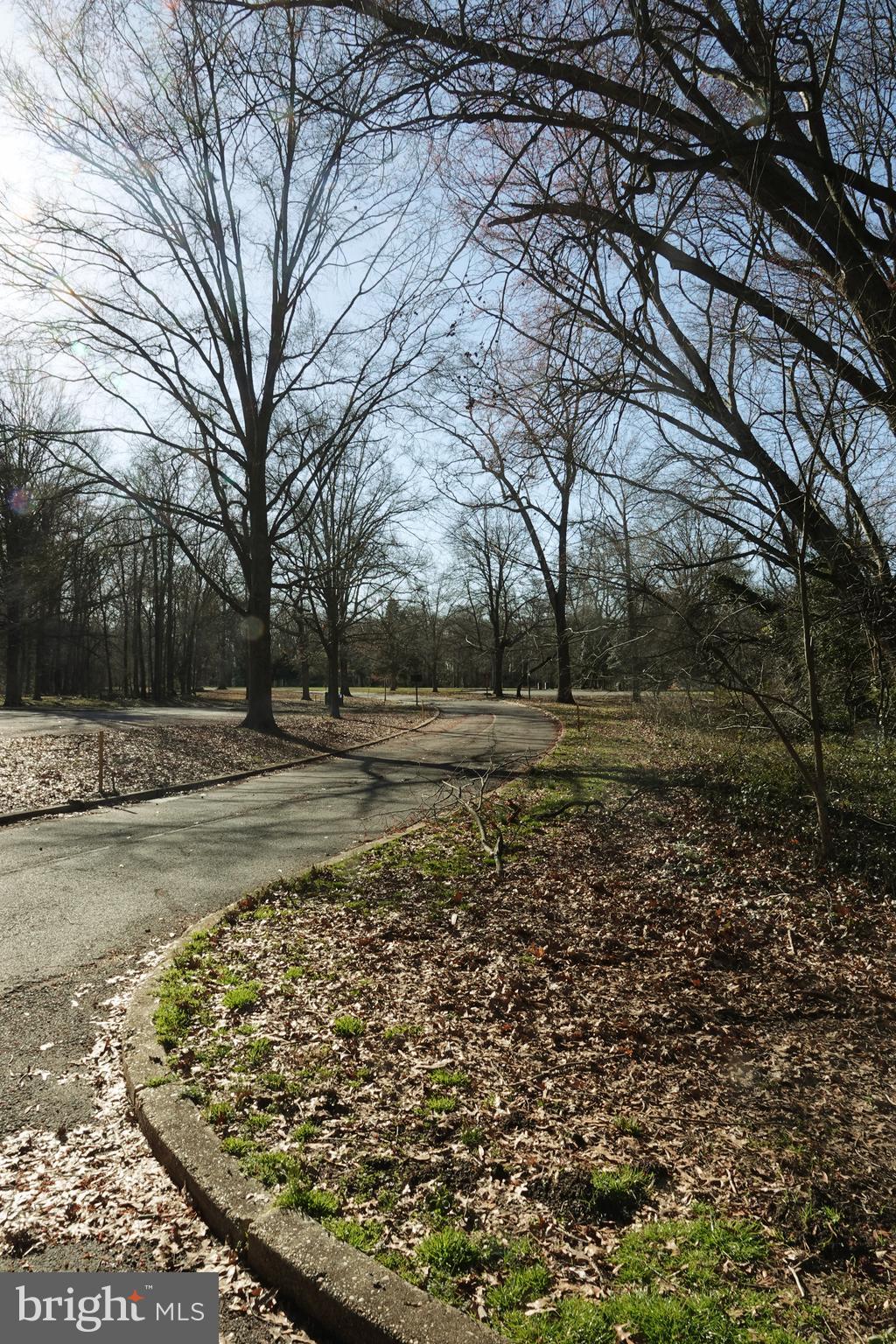 POTOMAC VALLEY - Residential