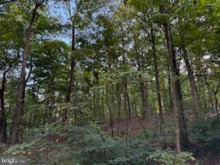 TREELAND HILLS - Land