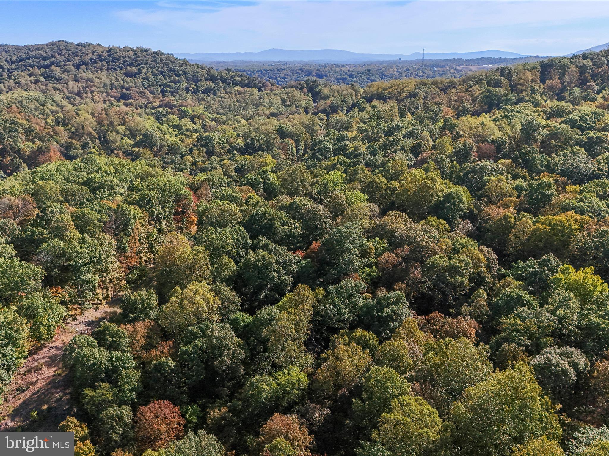 TREELAND HILLS - Land