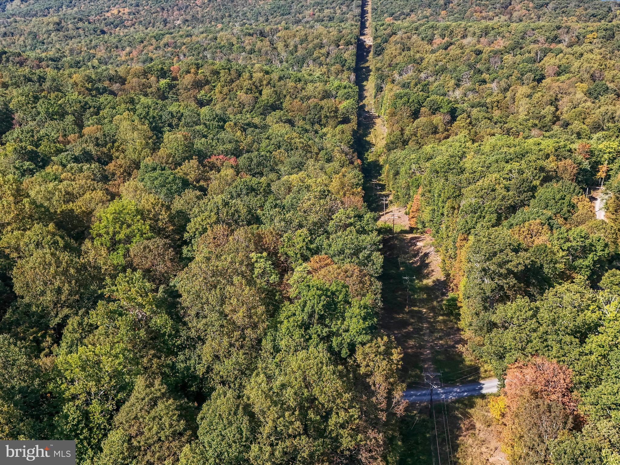 TREELAND HILLS - Land