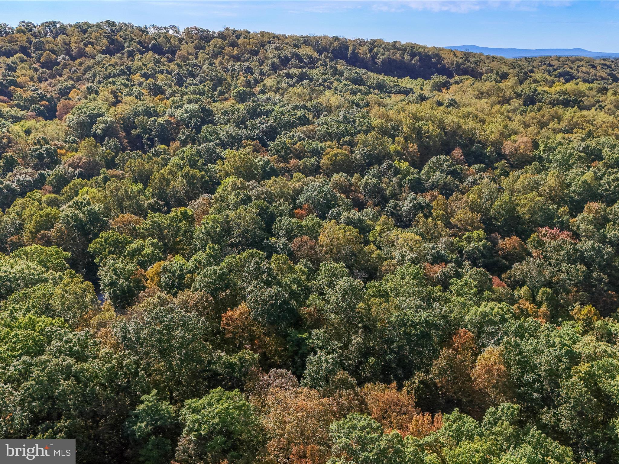 TREELAND HILLS - Land