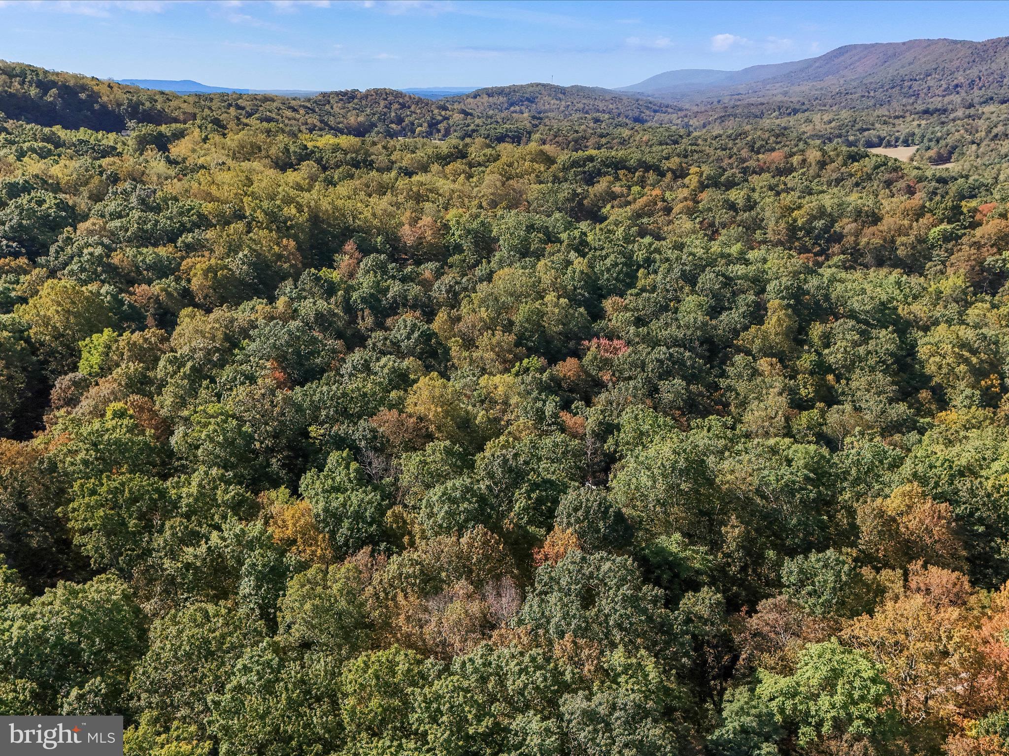 TREELAND HILLS - Land