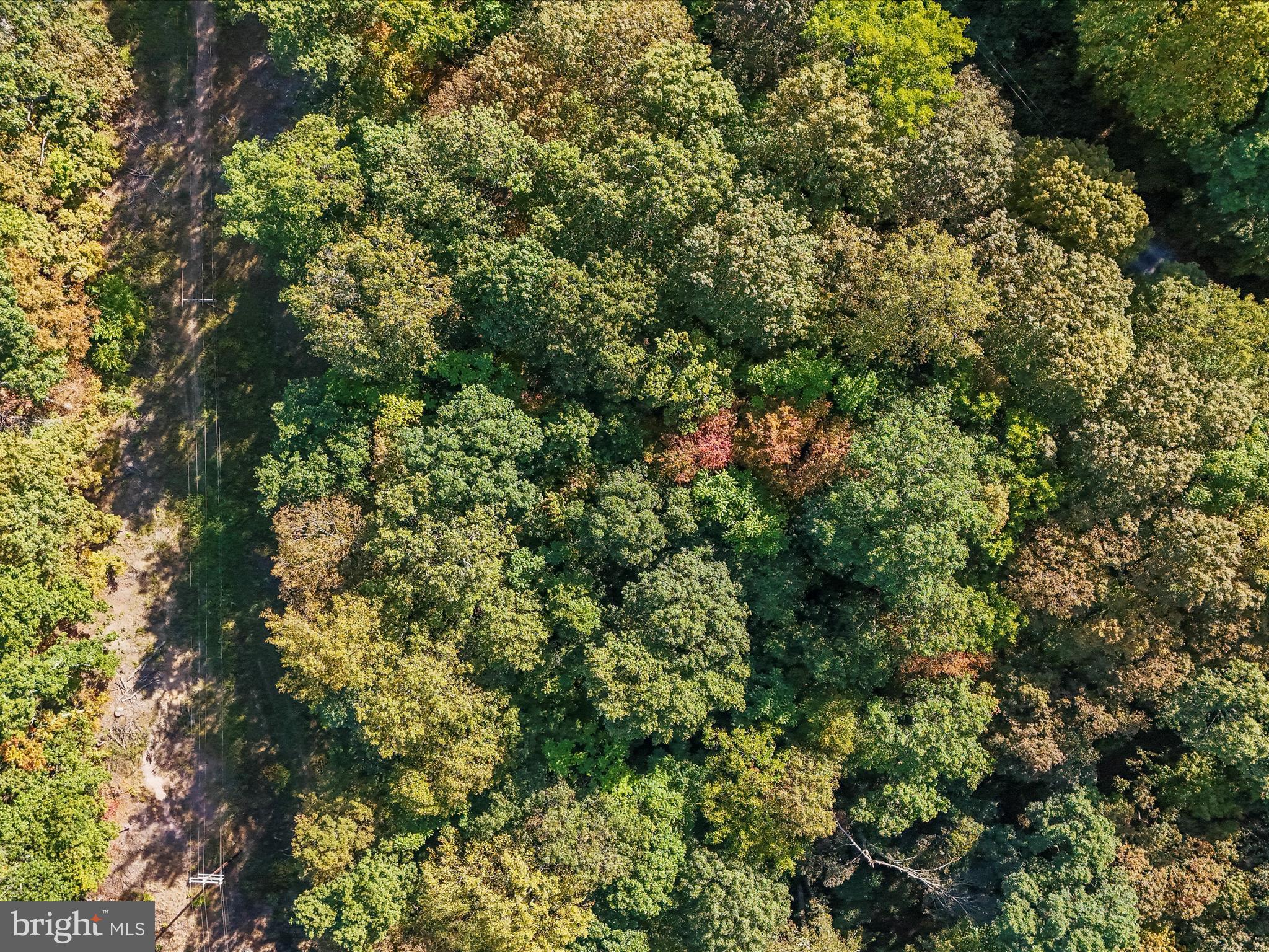 TREELAND HILLS - Land