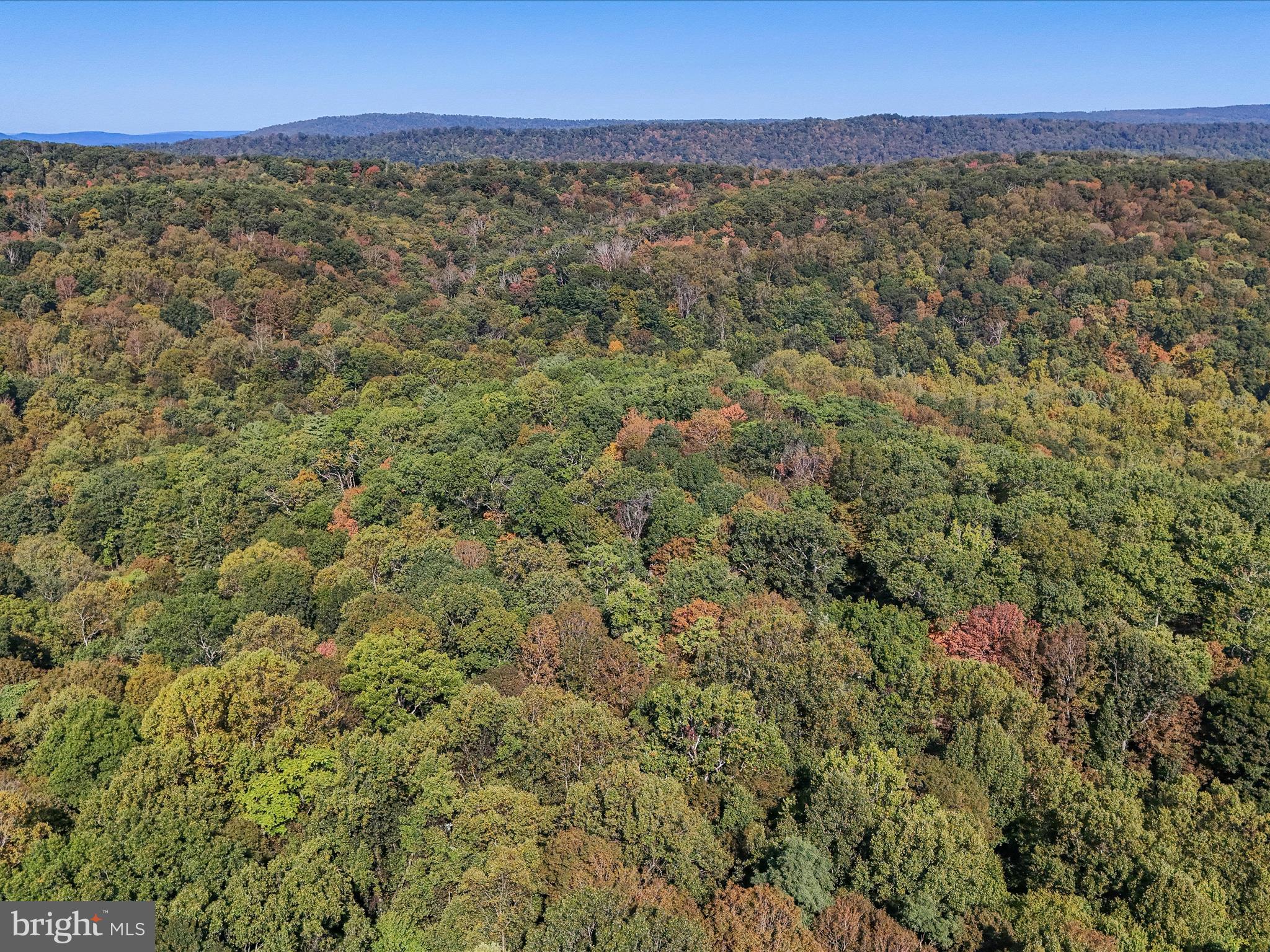 TREELAND HILLS - Land