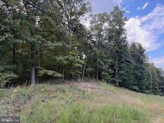 TREELAND HILLS - Land