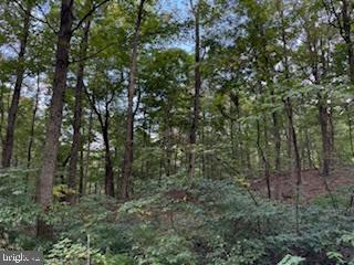 TREELAND HILLS - Land