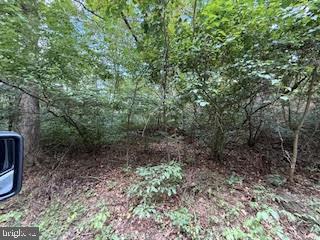 TREELAND HILLS - Land