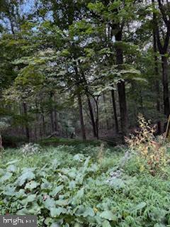 TREELAND HILLS - Land